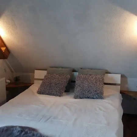 Finsterberg 度假居 Gehlberg