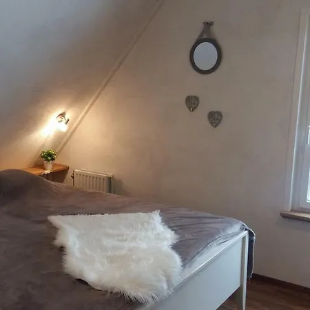 度假居 Finsterberg Gehlberg